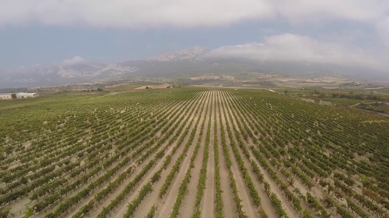 Pujanza, Rioja, Spain. VINEYARDS AND Drone 4K