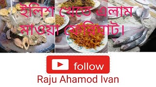 মামা ভাগিনা || ইলিশ খেতে চলে এলাম || মাওয়া ফেরিঘাট || Raju Ahamod Ivan || Ruposi Bangla Hotel ||