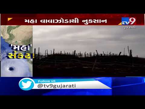 Cyclone Maha Impact: Sheds of 25 houses blown away by winds in Navsari | TV9GujaratiNews