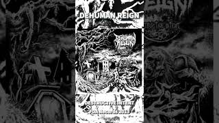 DEHUMAN REIGN (ger) #deathmetal #morrisound #floridadeathmetal #fyp #fdarecords #oldschool #metal
