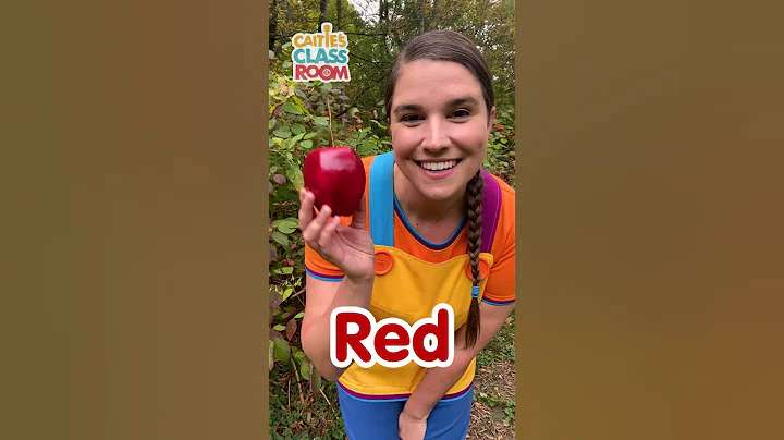 Red Yellow Green Blue! #shorts #caitiesclassroom #colors