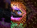 Mehandi Reels || Shorts Video || Wedding Bridal Mehandi || NILESH FILM'S STUDIO
