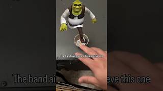 Guess I’ll just use my fingers #shrek #bass #picks #music #reel @Shrek