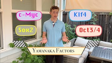 My Breakthrough Junior Challenge