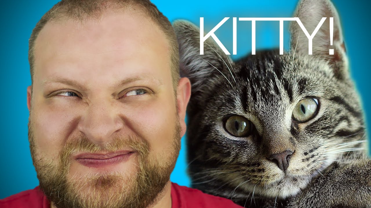 Kitty Going Crazy For Some Armpit!