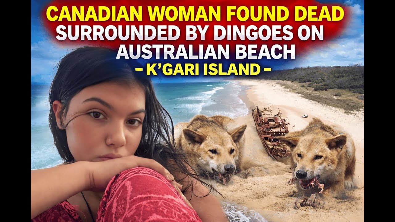 Horror on an Australian Beach: Canadian Woman Found Dead Among Dingoes 