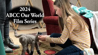 2024 ABCC Our World Film Series