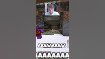 Technoblade shows Tommyinnit his secret base...