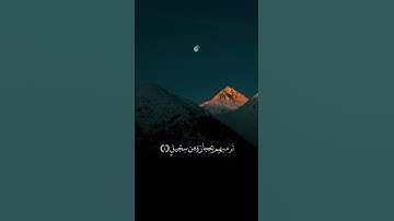 سورة الفيل (Al-Fil surah )  #قرآن_كريم #قرآن #سورة #alfil #surah