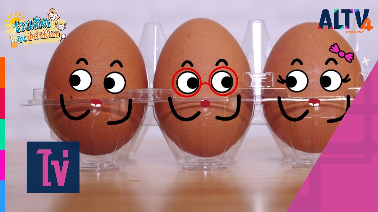 ไข่ : ชวนคิด กับนักวิทย์น้อย  (11 ส.ค. 63)