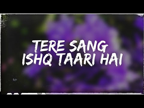 Tere Sang Ishq Taari Hai Pee LoonSlowed ReverbLofi Bass Boosted Mohit Chauhan