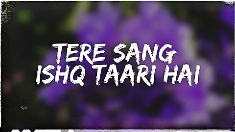 Tere Sang Ishq Taari Hai (Pee Loon)(Slowed +Reverb)Lofi 🔊Bass Boosted Mohit Chauhan