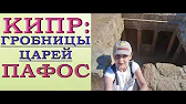 Орхидеи,узамба́рские фиалки,Самара🌺