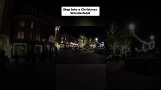 Harry Potter Christmas Wonderland: Leaky Cauldron Magic!