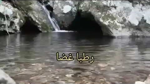 معانى كلمات سورة الأعلى