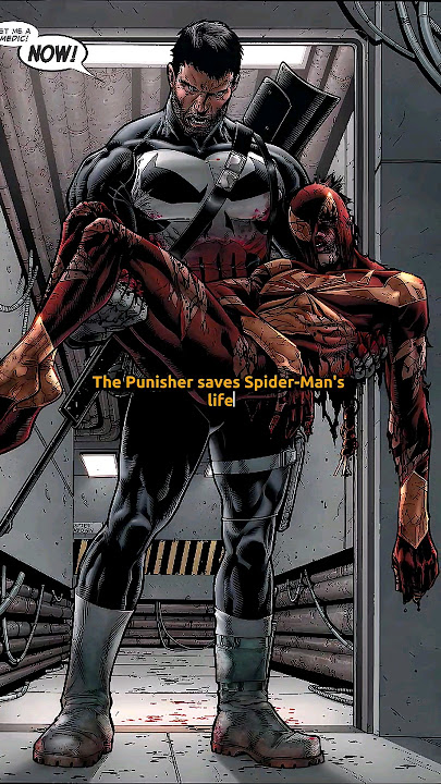The Punisher Saves Spider-Man