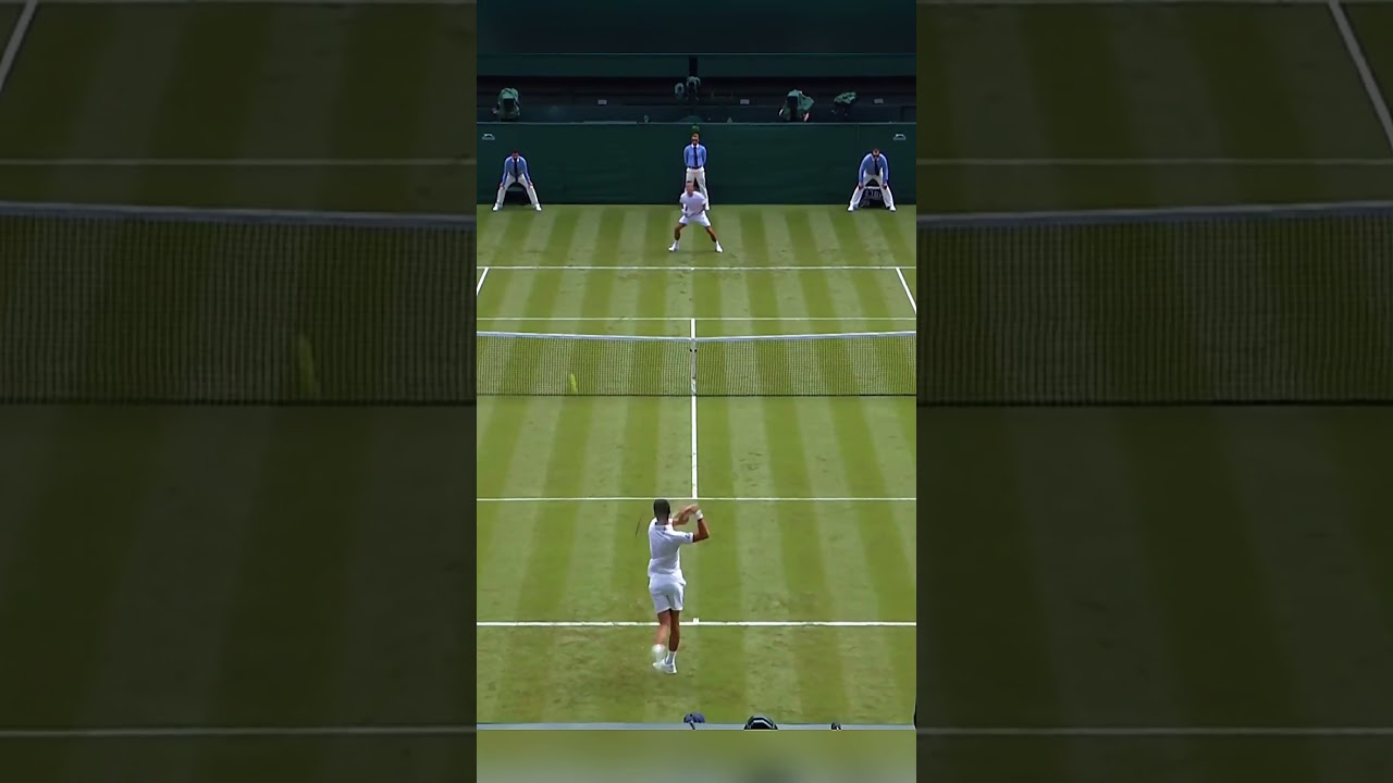 Djokovic Magic at Its Peak 🤯#tennis #tennisshorts