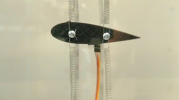 Wing flutter