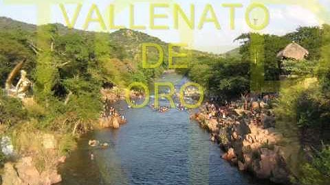 poncho zuleta - la ceiba de villanueva