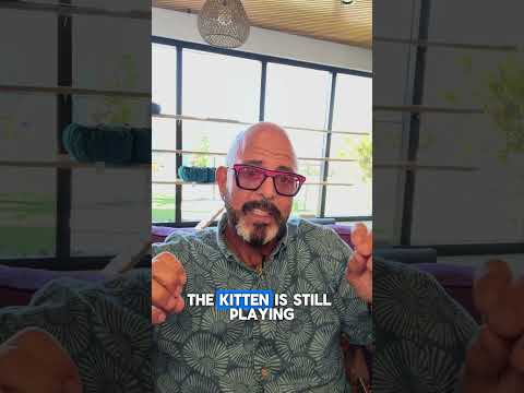 Q & A: Cat/kitten introductions with Sarenia and Kevin