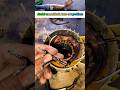 Jindal monoblock Auto cut problem#shorts