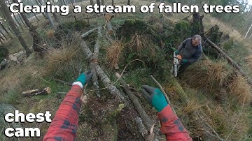 Clearing A Stream Of Fallen Trees