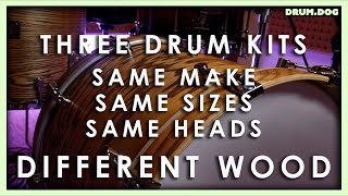 Does Shell Material Make a Big Sound Difference? - A Drum Dog Sound Comparison