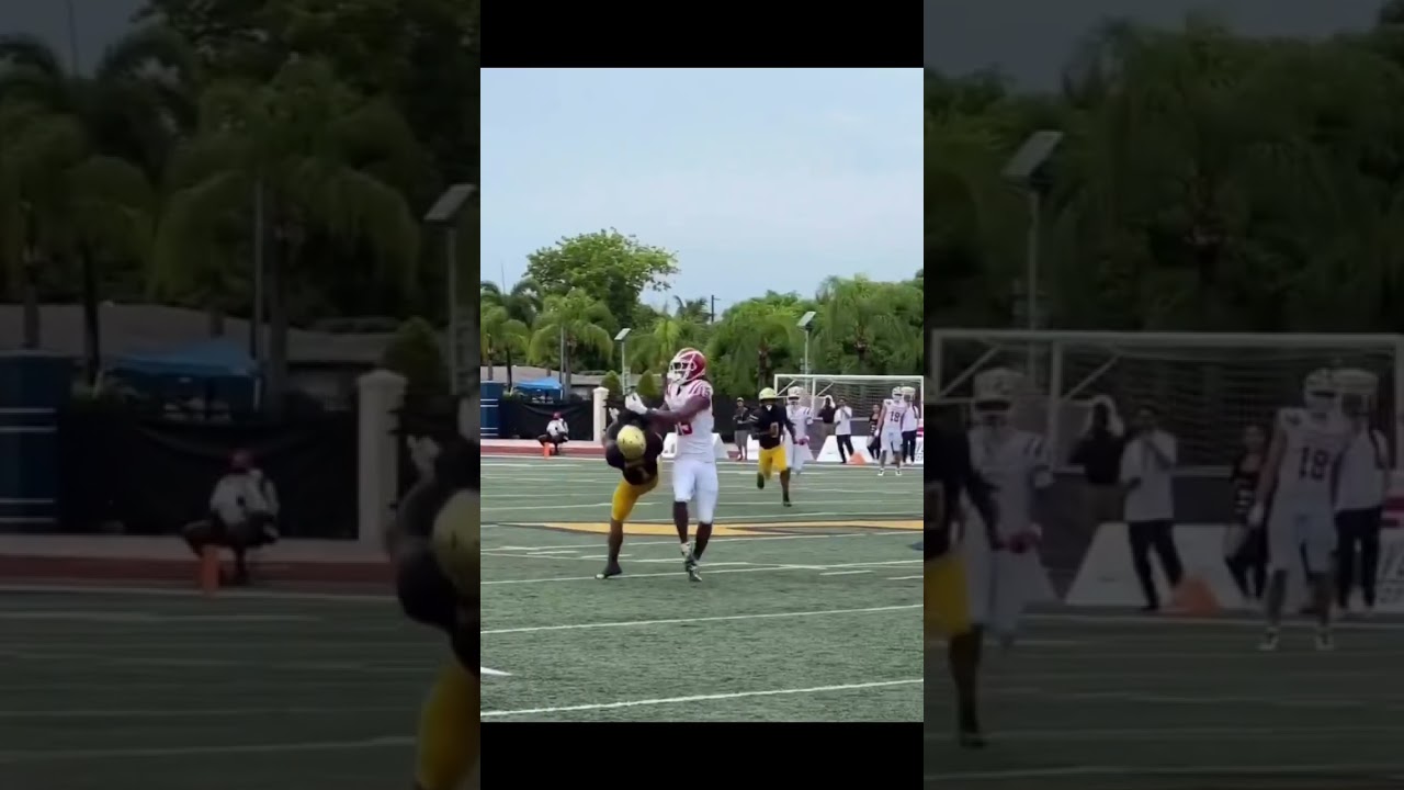 Chris Henry Jr. Makes Unreal Catch vs. St. Thomas Aquinas 😱😤 Must-See Highlight 