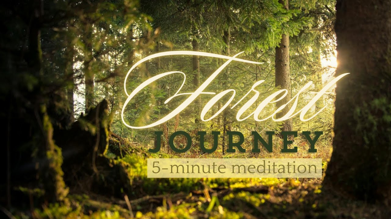 Serene Forest Journey: 5-Minute Guided Meditation for Peace and ...