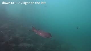 Letonpower L12 Test Shots With Insta360 Ace Pro 2