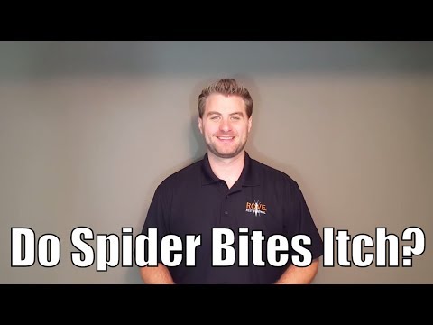 Video: Svědí obvykle pavoučí kousnutí?