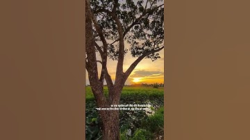 Thumbnail of #21 #ytshorts #goldensky #sunset #therapy #song #sunsetview