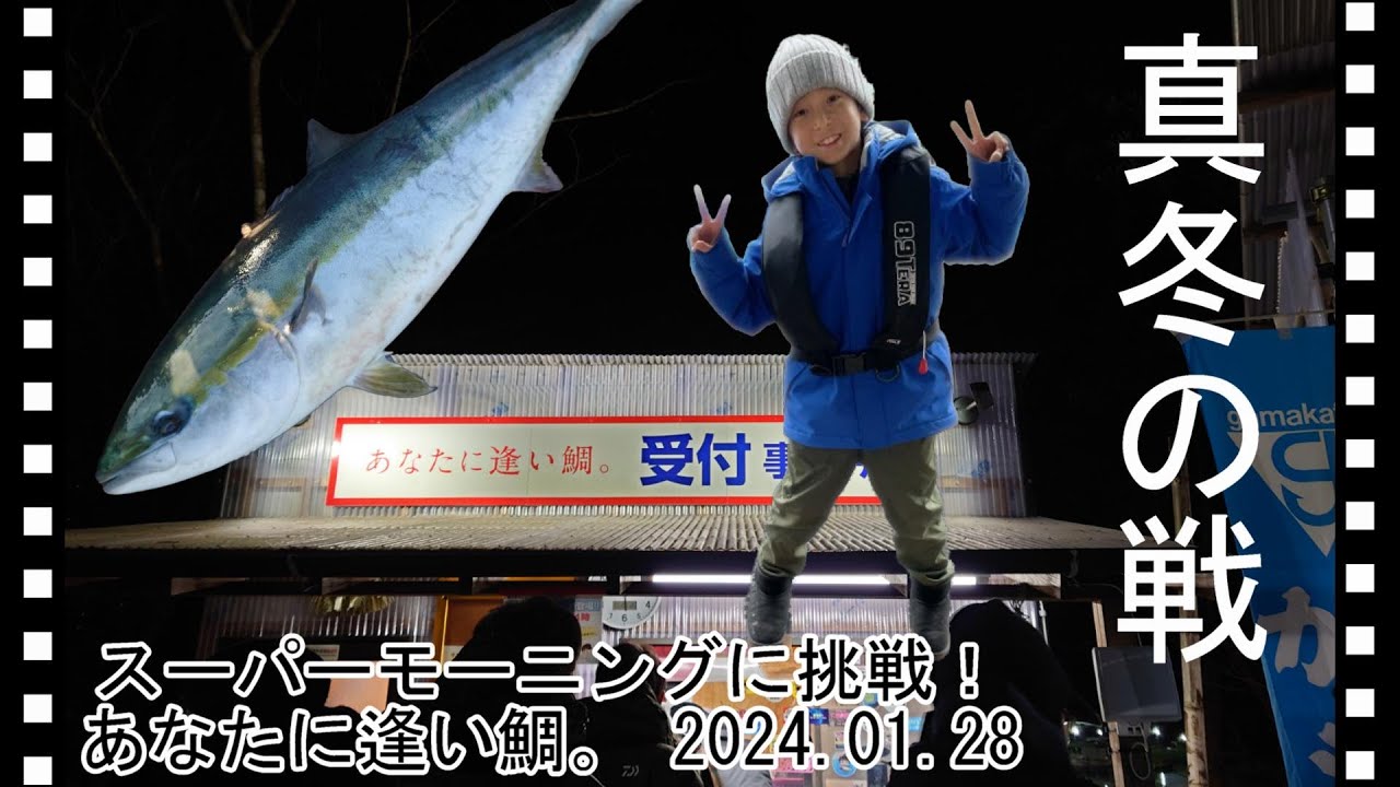 【晴太の海上釣堀散歩】真冬のスーパーモーニング！＠あなたに逢い鯛。2024年1月28日釣行