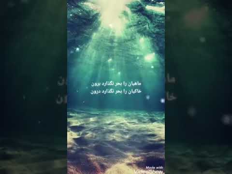 علامه مروجی سبزواری 4