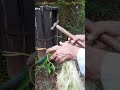 Eco friendly bamboo fiber
