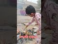 నాటుకోడి తో సంక్రాంతి అలా అయ్యింది #viral#shortsfeed#viral#festivalvibes