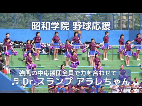 昭和学院 野球応援「Dr.スランプ アラレちゃん」のテーマ曲 強風の中応援団全員で力を合わせて（千葉県高校野球応援2015）