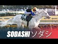 INCREDIBLE PURE WHITE RACEHORSE | JAPANESE STAR SODASHI'S BRILLIANT WINS ソダシ