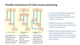 Multi sensory processing vs synesthesia 1