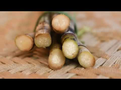 Triveni Engineering - Introduction