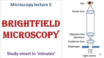 Bright field microscope | working principle | Advantages, disadvantages | Microscopy lecture 5