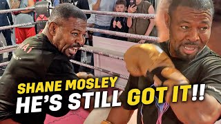 Download Lagu IMPRESSIVE!! Shane Mosley at 53 DESTROYS PADS! • Full Boxing Session MP3 Download Lagu IMPRESSIVE!! Shane Mosley at 53 DESTROYS PADS! • Full Boxing Session MP3