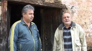 картинка: Русјаци