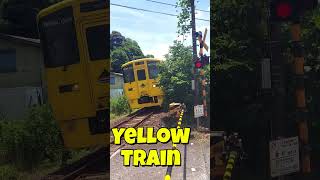 🌼✨ 【なのはな号】Train Passing the Level Crossing 🚆【愛宕踏切】✨#shorts