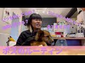 【保護犬】ボスのルーティン!全て見せます!1日の全て