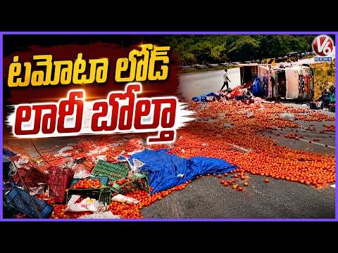 Tomato-Laden Lorry Overturns in Tirupati Road Accident | V6 News - V6NEWSTELUGU