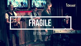 Video thumbnail of "Fragile by Sting - cover 👉 live acoustic female version"