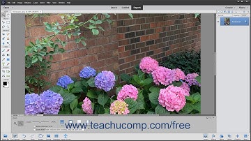 Photoshop Elements 2020 Tutorial Image Magnification Adobe Training
