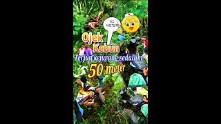😭 Ojek Kebun Enrekang||Terjun kejurang sedalam 50 meter part #2