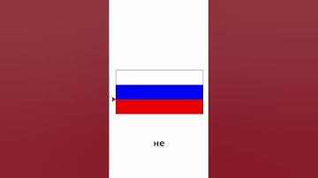 УЧИМ ПИТОН ЗА 1 МИНУТУ (НА САМОМ ДЕЛЕ ЗА 5)#shorts